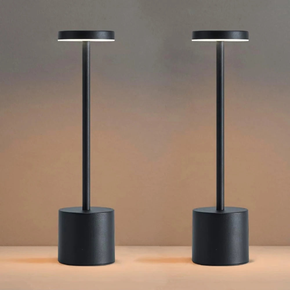 Portable LED Cordless